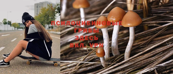 СК Куйбышев