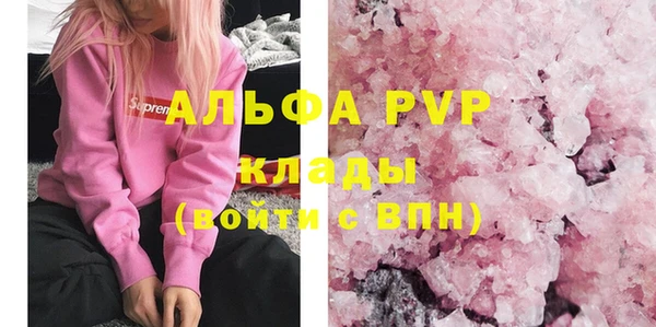 СК Куйбышев
