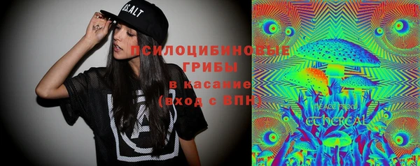 СК Куйбышев