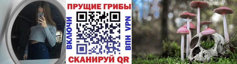 Галлюциногенные грибы Cubensis  Купить закладки  Кандалакша 
